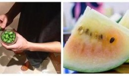 吃瓜群众干饭的说说,趣味横生的网络流行语解析