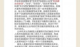 吃瓜群众岱岱的判决书,事件始末与法律裁决