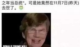 顾城吃瓜群众事件视频,网络舆论场上的争议与反思