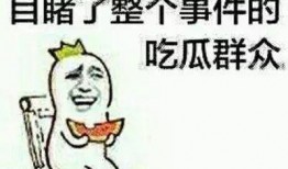 做一个的吃瓜群众,揭秘“吃瓜群众”背后的社会现象与心理解读