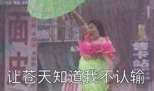 吃瓜群众的黑话怎么说的,吃瓜群众视角下的明星八卦风云