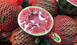 上海吃瓜群众的地方,吃瓜群众的市井百态