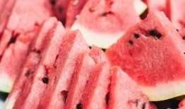 吃瓜群众干饭的说说,趣味横生的网络流行语解析