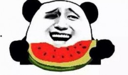 最好的吃瓜群众,最佳吃瓜群众带你领略幕后风云