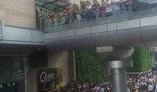 吃瓜群众人从众,吃瓜群众的狂欢盛宴