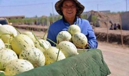 在旁边当个吃瓜群众,吃瓜群众视角下的风云变幻