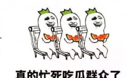 搞笑吃瓜群众趣事,吃瓜群众的欢乐趣事大盘点