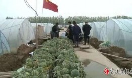 吃瓜群众宿迁,吃瓜群众眼中的魅力之城