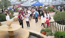 朝阳吃瓜群众龙龟,龙龟视角下的朝阳吃瓜众生相