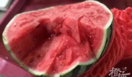 吃瓜群众在麒麟,揭秘神秘生物背后的传说与真相