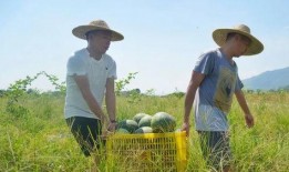 夏天就喜欢当吃瓜群众,吃瓜群众的夏日盛宴