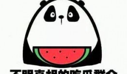 吃瓜群众翻车,揭秘网络舆论背后的真相