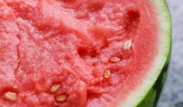 吃瓜群众在麒麟,揭秘神秘生物背后的传说与真相