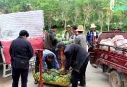 张家口市吃瓜群众