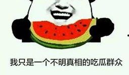 吃瓜群众用的头像是什么,揭秘吃瓜群众头像背后的秘密