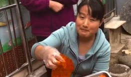 海南吃瓜群众代表,揭秘热带风情下的生活百态