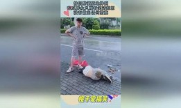 男子吃瓜群众摔倒视频,瓜还是别吃了？