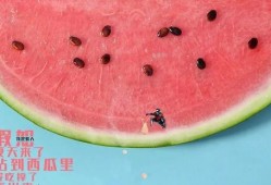 单身后吃瓜群众会,吃瓜群众眼中的爱情百态