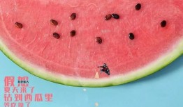 单身后吃瓜群众会,吃瓜群众眼中的爱情百态