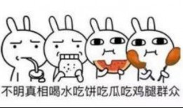 吃瓜群众的好伙伴有哪些,那些陪伴我们度过的欢乐时光