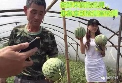 吃瓜群众进场直播下载,吃瓜群众进场，下载狂欢开启！