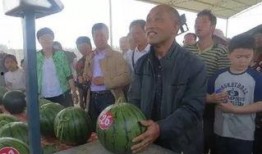 张家口市吃瓜群众