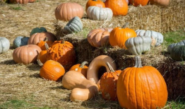 一位特别的吃瓜群众,揭秘吃瓜群众眼中的娱乐圈风云变幻