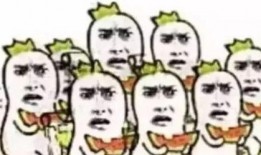 德国富裕吃瓜群众,瓜分盛宴中的生活画卷